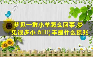 梦见一群小羊怎么回事,梦见很多小 🐦 羊是什么预兆